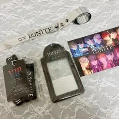 DIG-ROCK ディグロ2nd LIVE IGNITE VIP 特典　 銀テ