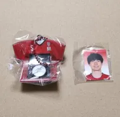 バレーボール男子日本代表 スポーツ選手