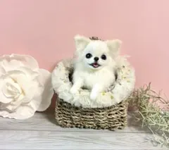 犬 猫 ホワイトバスケット 蓋付き 服 犬 猫 ホワイトバスケット 蓋付き 服 - メルカリ