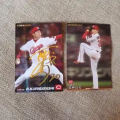 Item thumbnail for item 953a8c9b-ada7-4ece-ae88-6ccee6e125b8