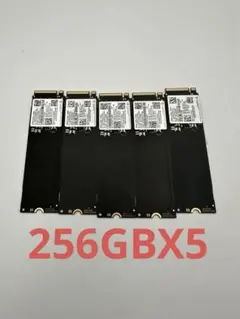 R*L様 SSD NVMe 256GB - 5枚 - メルカリ