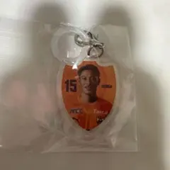 清水エスパルス めじるしキーホルダー 本多勇樹