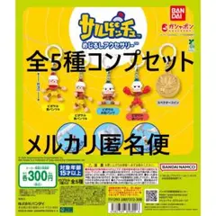 サルゲッチュ めじるしアクセサリー 全5種コンプセット