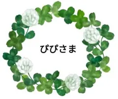 ぴぴ様 リクエスト 5点 まとめ商品