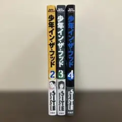 少年イン・ザ・フッド 2 〜 4 漫画 まとめ売り