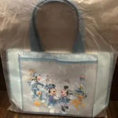 ⭐︎本日発送可⭐︎東京ディズニーリゾート 25周年 スーベニアランチケース