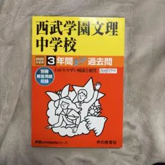 Item thumbnail for item a952ab17-2b76-4f18-915a-fa767b7698dd