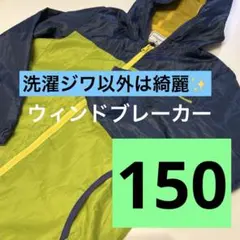 METALLIC BOARD ウィンドブレーカー 150