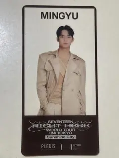 SEVENTEEN MINGYU サンシャインシティ　クリアしおり