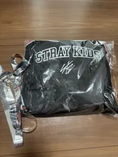 StrayKids dominATE アプグレ特典新品未使用抜けなし銀テープ付