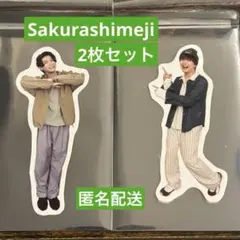 EBiDAN運動会 ステッカー Sakurashimeji 田中雅功 髙田彪我