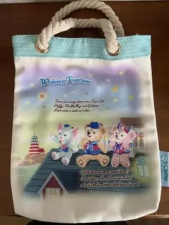 ダッフィー 15周年 ミニ トートバッグ 美品
