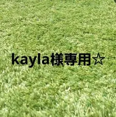kayla様専用☆