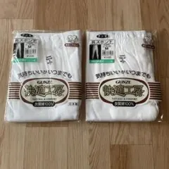 GUNZE 綿100% Mサイズ 下着 2枚セット