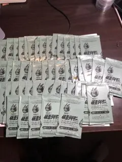 仮面ライダーチップス