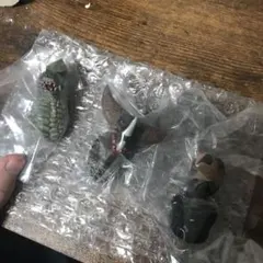 【3点セット】怪獣超大全 vol.2 F賞 怪獣頭鑑 vol.2