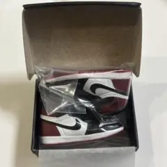 ナイキエアジョーダンミニチュアコレクションBLACK TOE