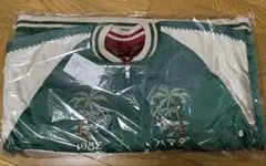 Item thumbnail for item d68eda5a-dc13-4535-8ee2-3aa96bdc487b