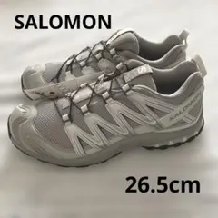 2025年最新】サロモン xa pro 3d silverの人気アイテム - メルカリ
