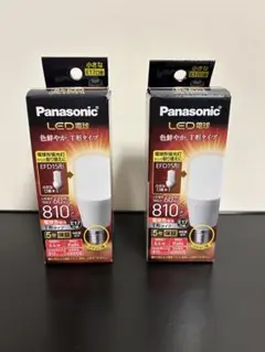 【２個】パナソニックLDT6L-G-E17/S/T6 T形タイプ 6.4W