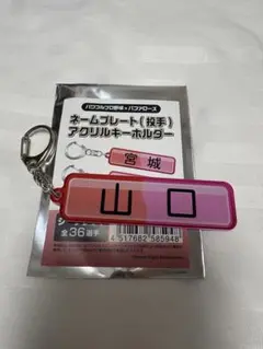 パワプロ　キーホルダー オリックス 山口選手