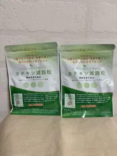 カテキン減脂粒　62粒入　2点