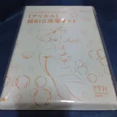 ゼクシィ 4月号 付録 アリエル 超BIG洗濯ネット 未開封品 本無し