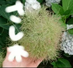 みろり様 リクエスト 3点 まとめ商品