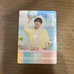 buddiis KEVIN メデュラ トレカ