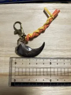 熊の爪 チャーム