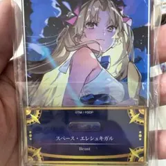 【スペース・エレシュキガル】アクスタ　Fate FGO 最終再臨展