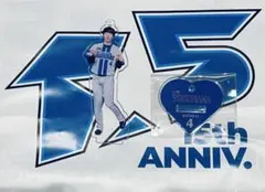 横浜DeNAベイスターズ 入江大生 ガルフェス アクスタ アクリルスタンド