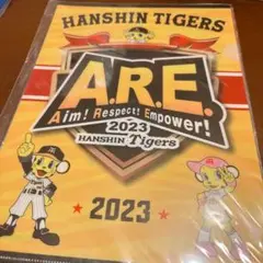 阪神タイガース 2023年 スローガン A.R.E. クリアファイル