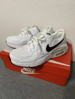 ナイキ エアマックス エクシー シューズ　レディース