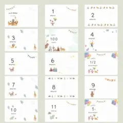 L判サイズ　マンスリーカード　月齢カード　アルバム　メモ付動物サーカス