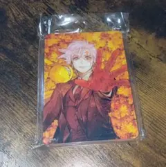 d.gray-man アレン