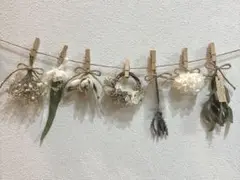 ドライフラワー　ガーランド