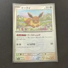 イーブイ SV8a テラスタルフェスex 125/187 マスターボールミラー