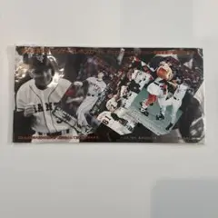 プロ野球選手 アクションショットカード 3枚セット