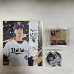 オリックスバファローズ 佐野皓大 ミニ色紙 アクリルキーホルダーセット