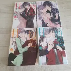 その初恋は甘すぎる 2.3.4.5巻　4冊セット