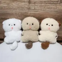 ほわんほわん へそみせおおよろこび マスコット