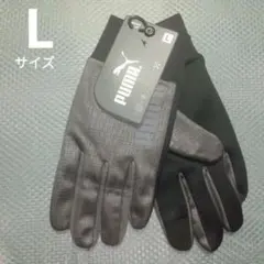 Item thumbnail for item 316a4acc-1794-4e6d-9386-61413fb9c3b9