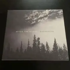AFTER THE BURIAL EVERGREEN メタルコア