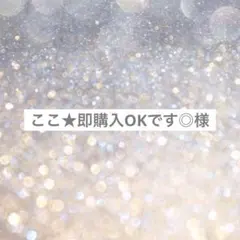 ここ★即購入OKです◎様専用ページ