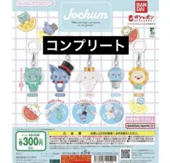 JOCHUM めじるしアクセサリー コンプリートセット