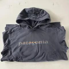 patagonia Lightweight '73 Text Logo L