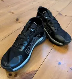 NIKE ナイキ ペガサストレイル 4 GORE-TEXのサムネイル