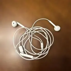 iPhoneライトニングイヤホン純正