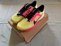 ナイキ エアズームペガサス 40 プレミアム エキデン 27.5cm